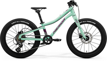 ROWER MTB  MERIDA MATTS J.20+ MATT MINT(PURPLE/WHT/BLK)