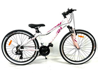 ROWER MTB STORM QUEEN 24 VB